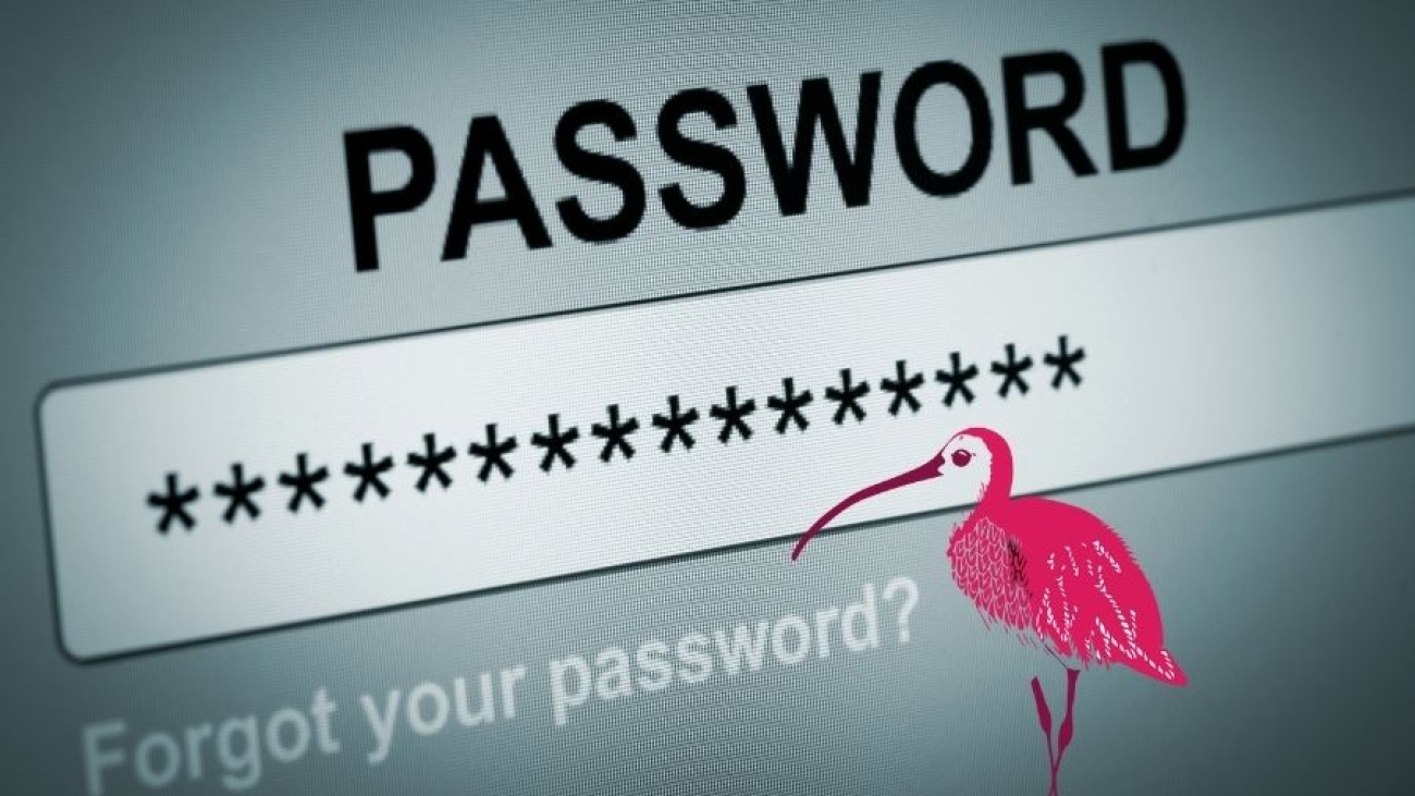 Why saving passwords in your internet browser is a bad idea