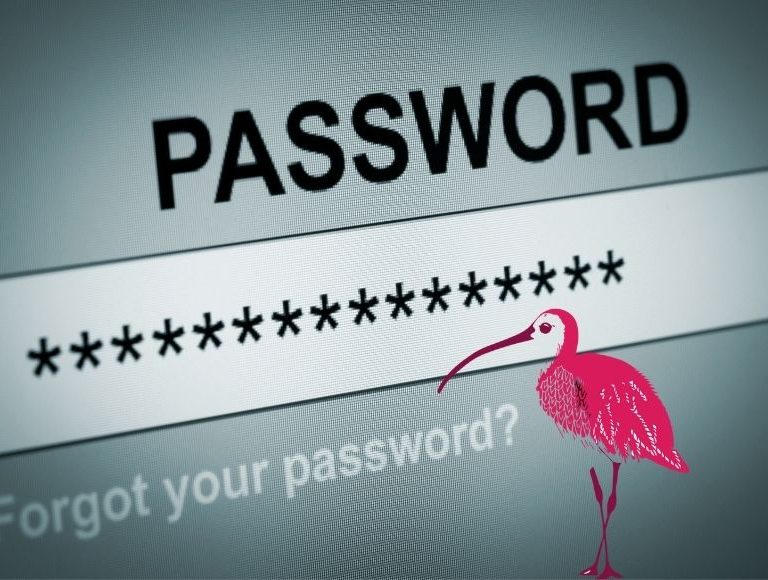 Why saving passwords in your internet browser is a bad idea.