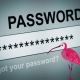 Why saving passwords in your internet browser is a bad idea